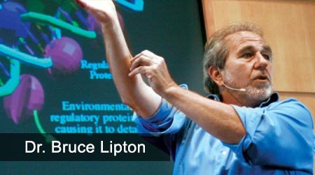 Dr. Bruce Lipton